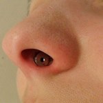 Пирсинг носовой перегородки, прокол септума (The Septum Piercing)