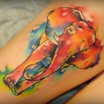 Слон в цветных красках