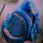Синяя акула