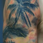 Пальмы на берегу