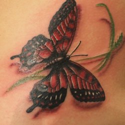Бабочка с красноватыми крыльями