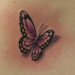 Бабочка с розовыми крыльями