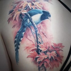 Прекрасная птица на ветке с листьями