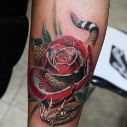 Роза и гремучая змея