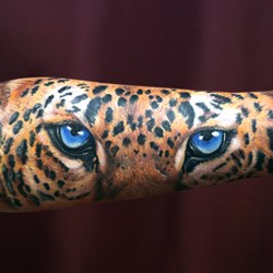 Голубые глаза леопарда