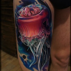 Красивая медуза