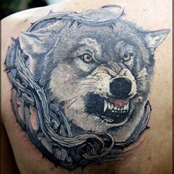 Волк в колючках