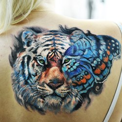 Тигр и крыло бабочки
