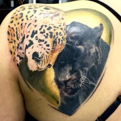 Леопард и пантера