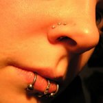 Несколько пирсингов носовой перегородки и пирсинг нижней губы