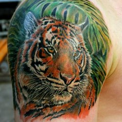 Тигр в джунглии