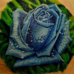 Синяя роза с каплями росы
