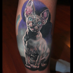 Татуировка кот сфинкс