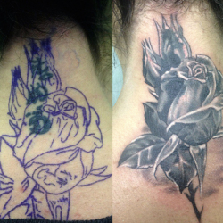 Cover Up Роза