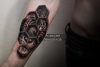 #plotnikovasketch татуировка тигр в сотах в стиле реализм